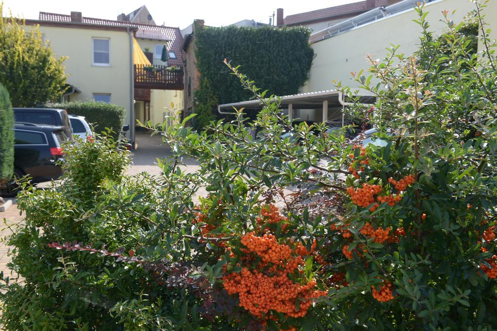 Hotel-Pension Mandy - Adults Only Senftenberg Exterior foto
