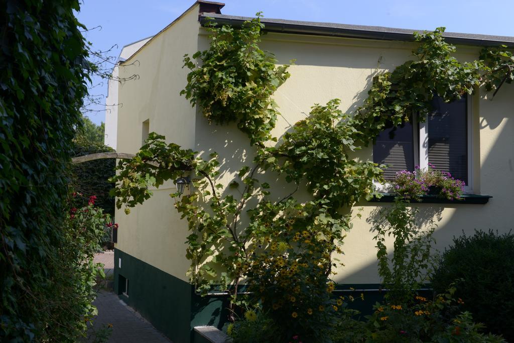 Hotel-Pension Mandy - Adults Only Senftenberg Exterior foto